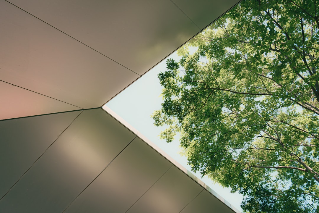 Upward view of a building edge beside green treetops